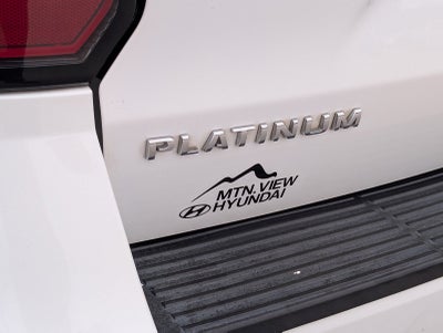 2020 Ford Expedition Platinum