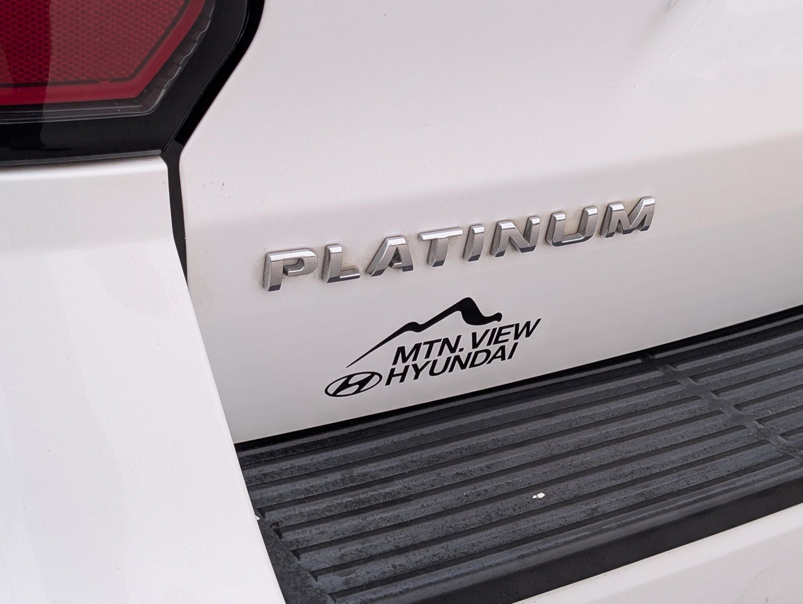 2020 Ford Expedition Platinum