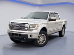 2013 Ford F-150 Platinum