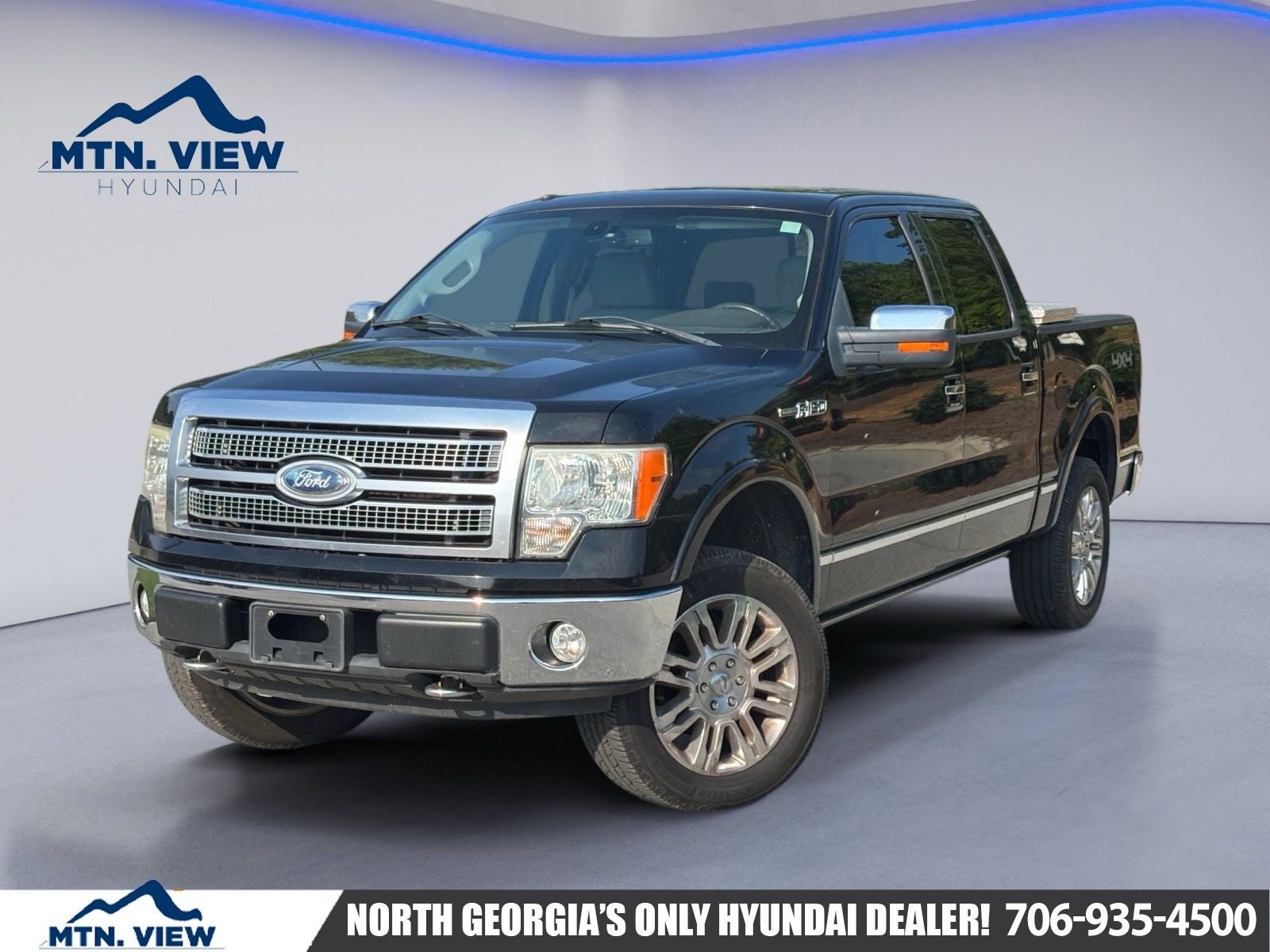 2009 Ford F-150 Platinum