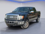 2009 Ford F-150 Platinum