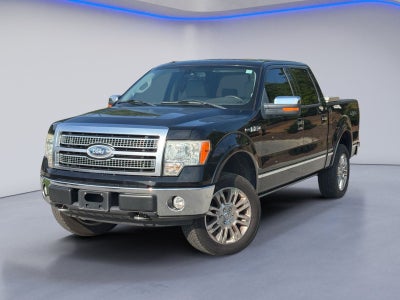 2009 Ford F-150 Platinum