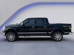 2009 Ford F-150 Platinum