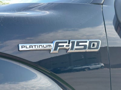 2009 Ford F-150 Platinum