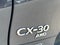 2022 Mazda Mazda CX-30 2.5 S Carbon Edition