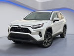 2025 Toyota RAV4 Hybrid XLE Premium