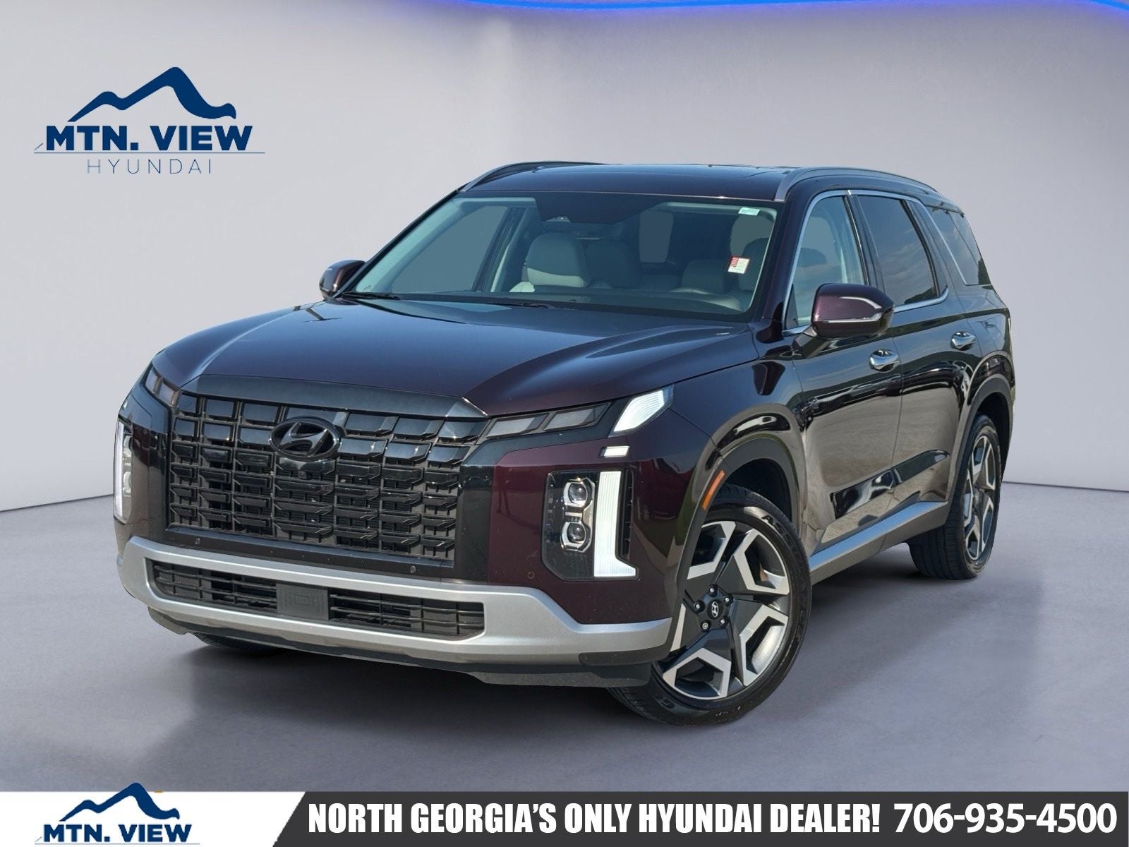 2024 Hyundai PALISADE SEL 8 Passenger