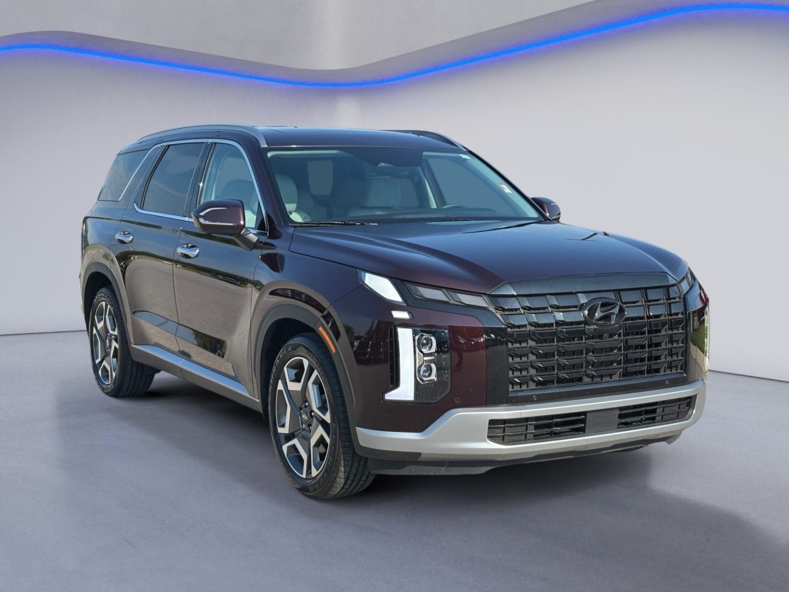 2024 Hyundai PALISADE SEL 8 Passenger