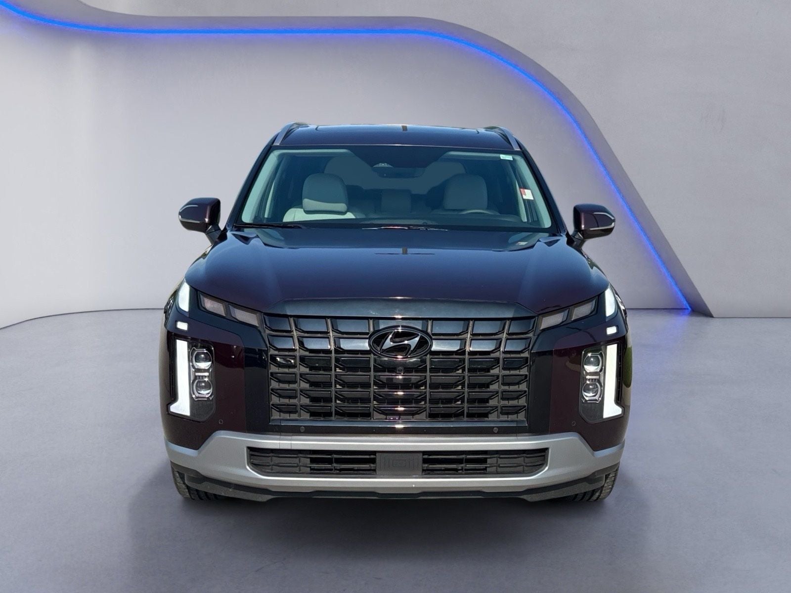2024 Hyundai PALISADE SEL 8 Passenger